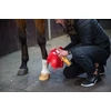 Kép 3/3 - Muck Off folttisztító spray 500ml