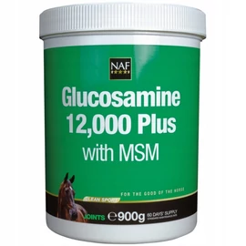 Glucosamine 12.000 Plus with MSM 900g